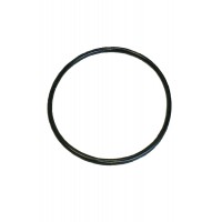 Кольцо для корпуса фильтра Посейдон